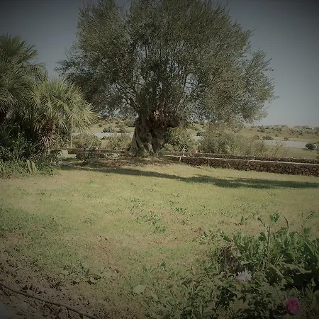 فندق مبيت وإفطار Al Palmento Cruillas