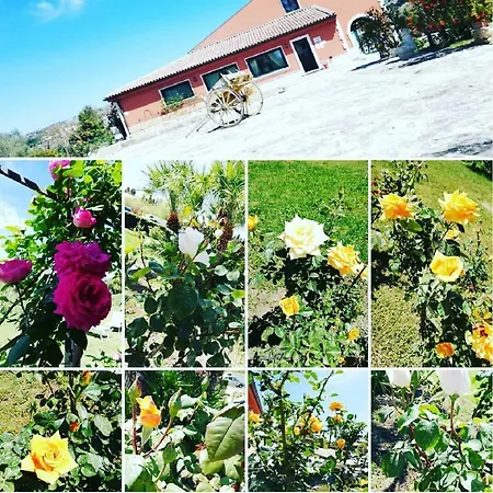 Al Palmento Cruillas فندق مبيت وإفطار 2*
