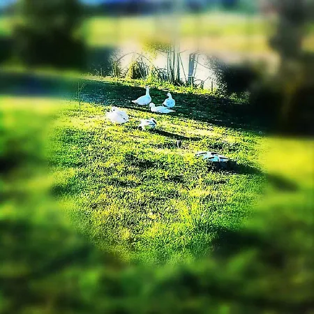 Al Palmento Cruillas Oda ve Kahvaltı 3*