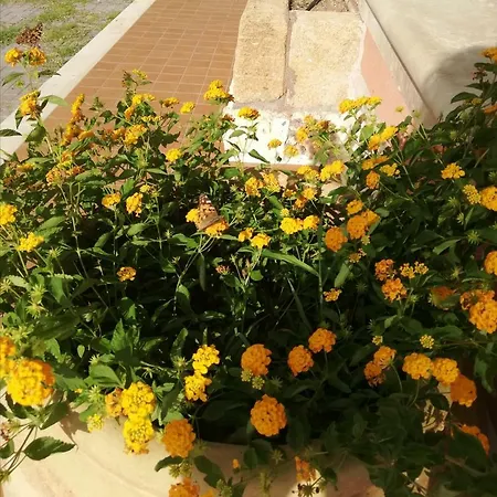 Al Palmento Cruillas Oda ve Kahvaltı Siraküza