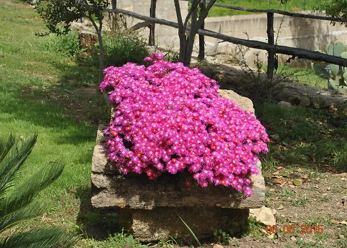 Bed & Breakfast Al Palmento Cruillas 3*