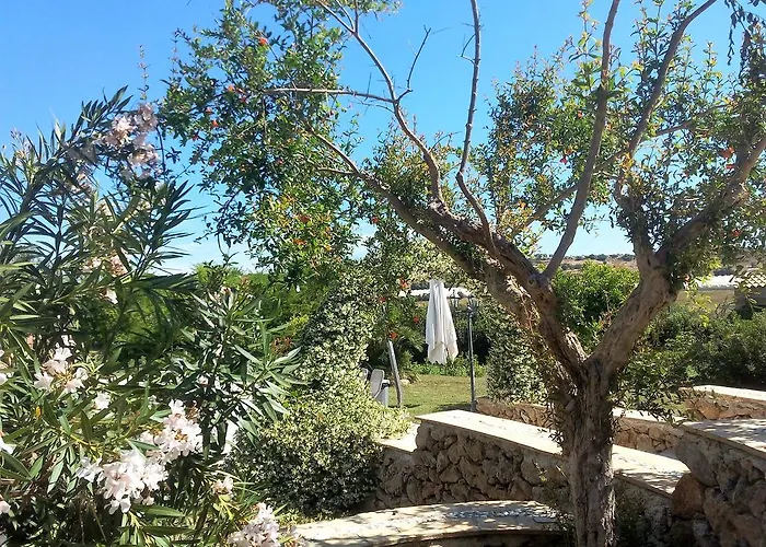 Al Palmento Cruillas