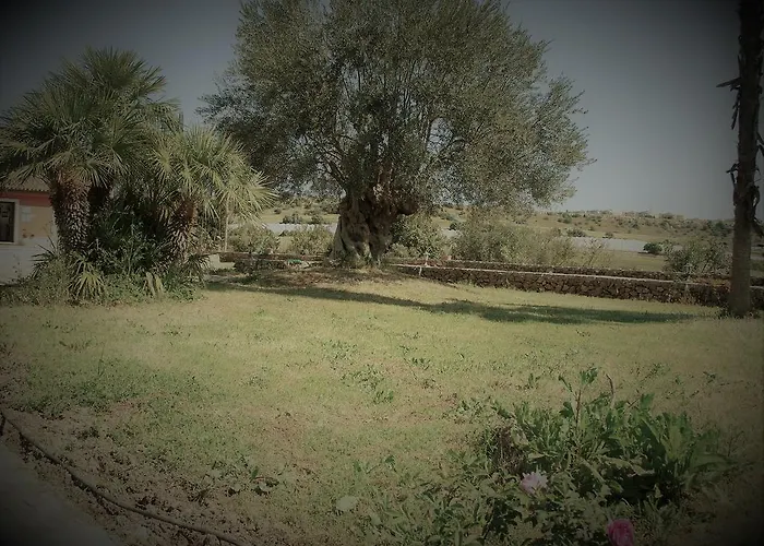 Bed & Breakfast Al Palmento Cruillas