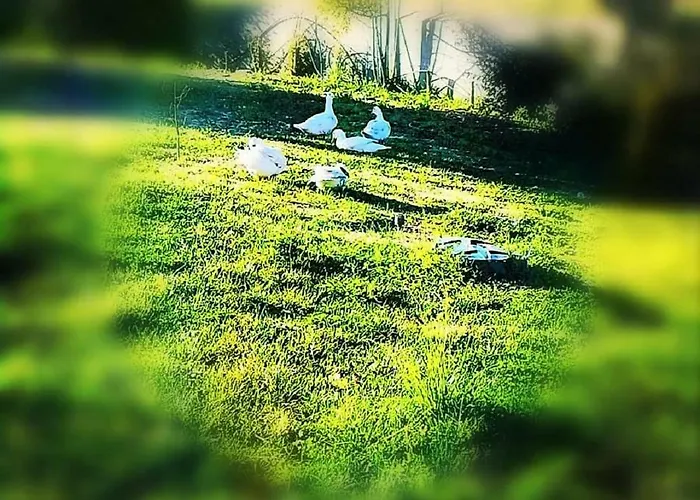 Al Palmento Cruillas Bed & Breakfast 3*