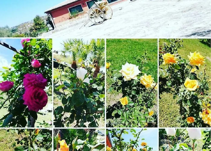 Al Palmento Cruillas Bed & Breakfast 3*